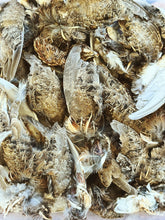 Load image into Gallery viewer, Whole Prey Quail Wings (Garnish)
