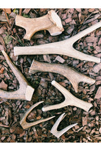 Load image into Gallery viewer, Antler Chews—Discontinuing
