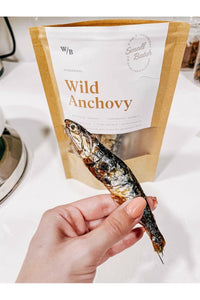 Wild Anchovy