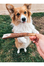 Load image into Gallery viewer, Antler Chews—Discontinuing

