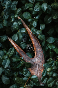 Antler Chews—Discontinuing